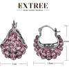 imageEXTREE Rhinestone Valentines Day Earrings for womenEmerald Ruby Gold Silver Design EarringsA016